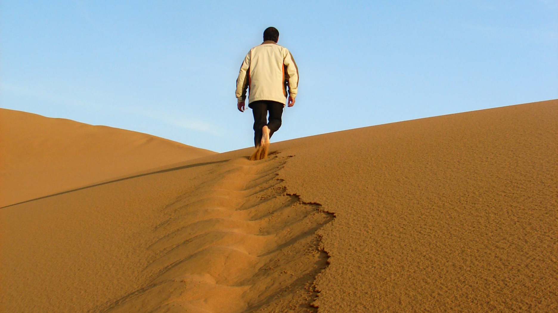 Strong Leadership Key to Unicorn-  level Growth